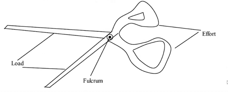fulcrum,effort, load mechanical advantage, velocity ratio and efficiency